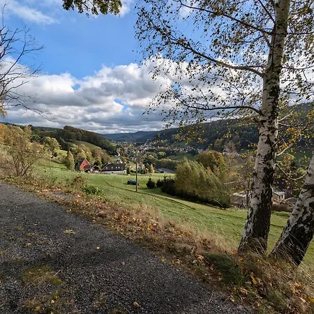 Wichtelhaisl Rittersgruen Im Erzgebirge - Entspannen Im Froehlichen Tiny House - Umzaeunter Naturgarten-hunde Willkommen-terrasse-elektroauto Laden