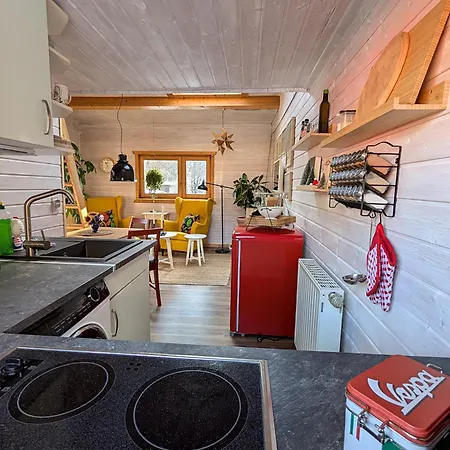 Wichtelhaisl Rittersgruen Im Erzgebirge - Und Ruhe Im Froehlichen Tiny House - Naturgarten-hunde Willkommen-ebike Und Elektroauto Laden Chalet *
