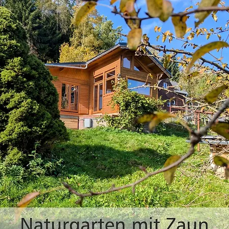 Wichtelhaisl Rittersgruen Im Erzgebirge - Entspannen Im Froehlichen Tiny House - Umzaeunter Naturgarten-hunde Willkommen-terrasse-elektroauto Laden *