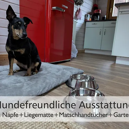 Vakantiehuis Wichtelhaisl Rittersgruen Im Erzgebirge - Entspannen Im Froehlichen Tiny House - Umzaeunter Naturgarten-hunde Willkommen-ebike Und Elektroauto Laden