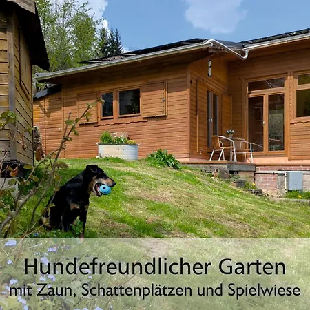 Wichtelhaisl Rittersgruen Im Erzgebirge - Entspannen Im Froehlichen Tiny House - Umzaeunter Naturgarten-hunde Willkommen-ebike Und Elektroauto Laden Vakantiehuis *