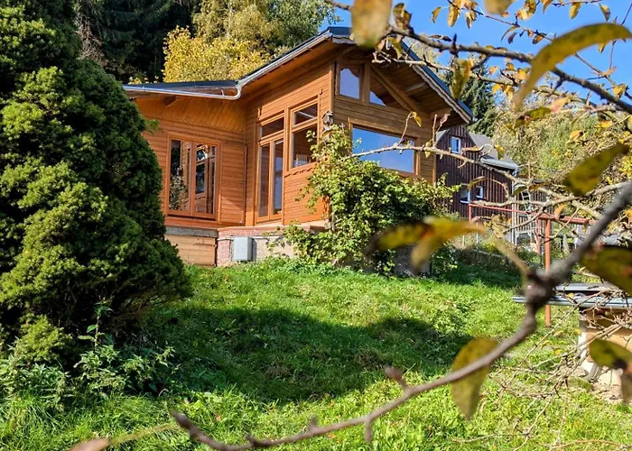 Wichtelhaisl Rittersgruen Im Erzgebirge - Entspannen Im Froehlichen Tiny House - Umzaeunter Naturgarten-hunde Willkommen-terrasse-elektroauto Laden *