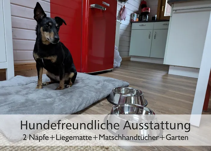 Holiday home Wichtelhaisl Rittersgruen Im Erzgebirge - Entspannen Im Froehlichen Tiny House - Umzaeunter Naturgarten-hunde Willkommen-terrasse-elektroauto Laden